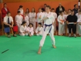 imga0408.jpg