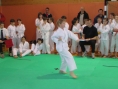 imga0413.jpg