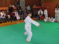 imga0416.jpg