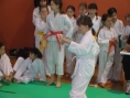 imga0417.jpg