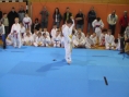 imga0423.jpg