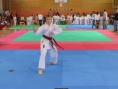 imga0443.jpg