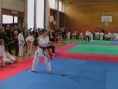 imga0446.jpg