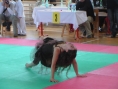 imga0453.jpg