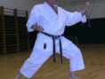 sl-9.jpg