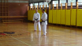 Seminar Bled 