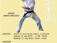 Seminar SenSei Mirče