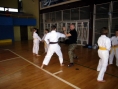 rimg0164_exposure_resize