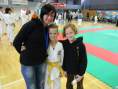 Turnir dveh dežel Gorica 2011
