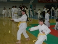 dscn0973