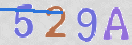 CAPTCHA slika