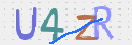 CAPTCHA slika