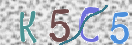 CAPTCHA slika