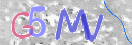 CAPTCHA slika