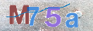 CAPTCHA slika