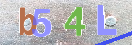 CAPTCHA slika